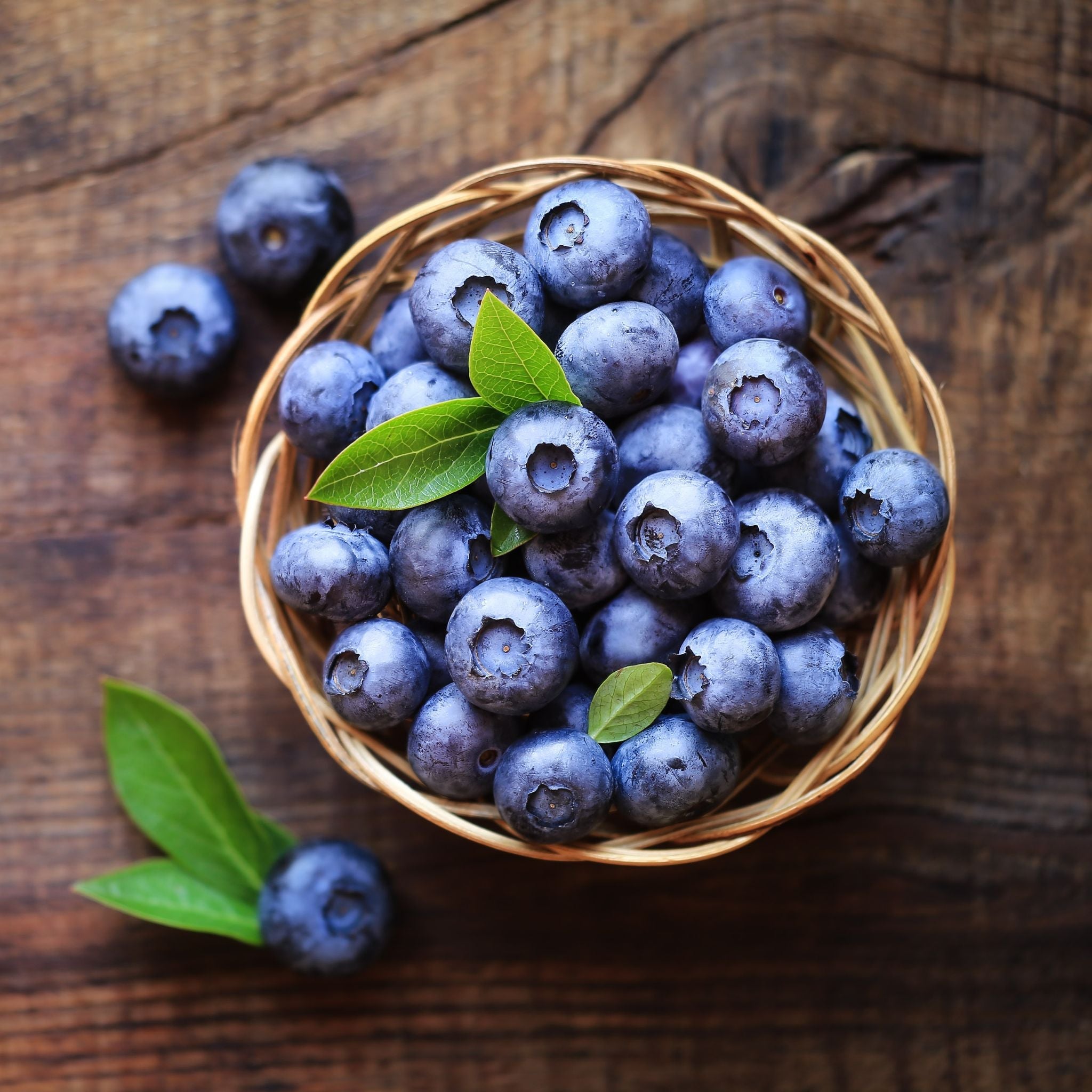 BLUEBERRY